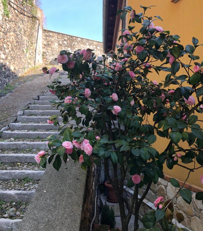 B&B Alle Scalette Trissino 외부 사진