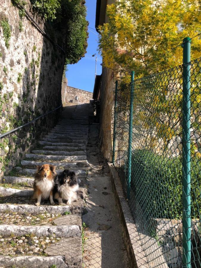 B&B Alle Scalette Trissino 외부 사진